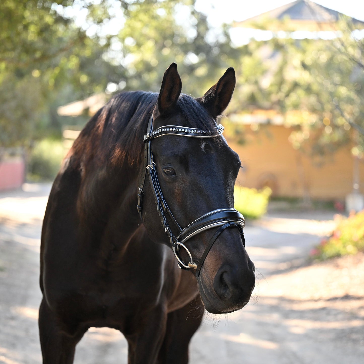Halter Ego® The Eiffel Tower Black Leather Snaffle Bridle