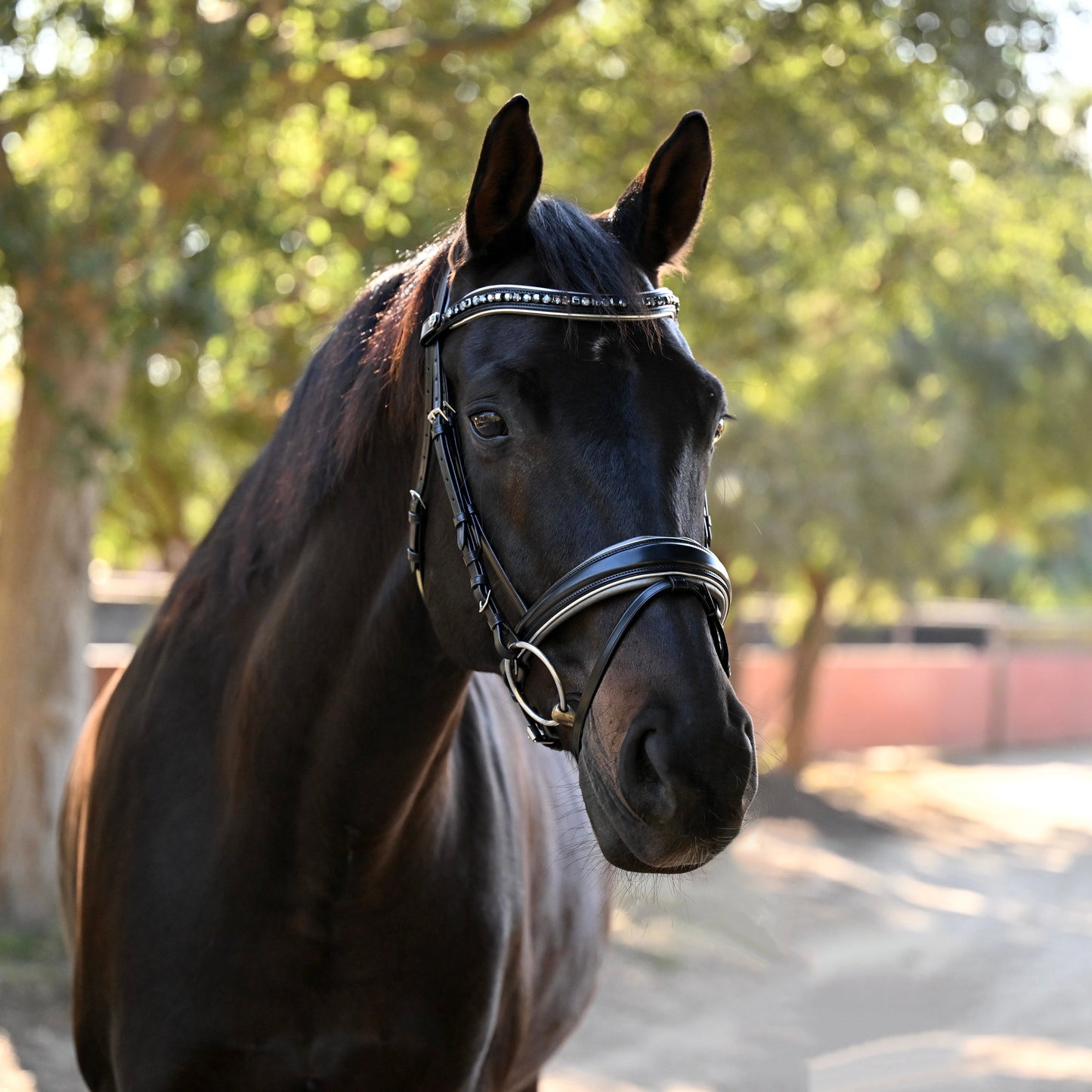 Halter Ego® The Eiffel Tower Black Leather Snaffle Bridle
