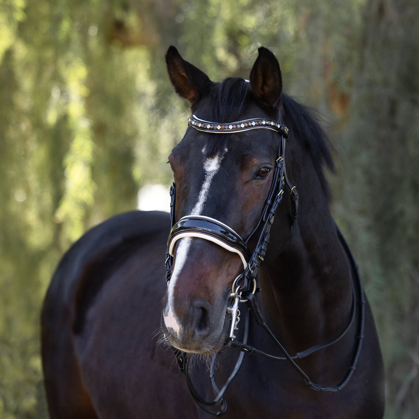 Halter Ego® The Taos Black Patent Double