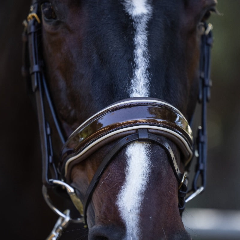 Halter Ego® The Catalonia Metallic Bronze Leather Snaffle Bridle with Removable Flash