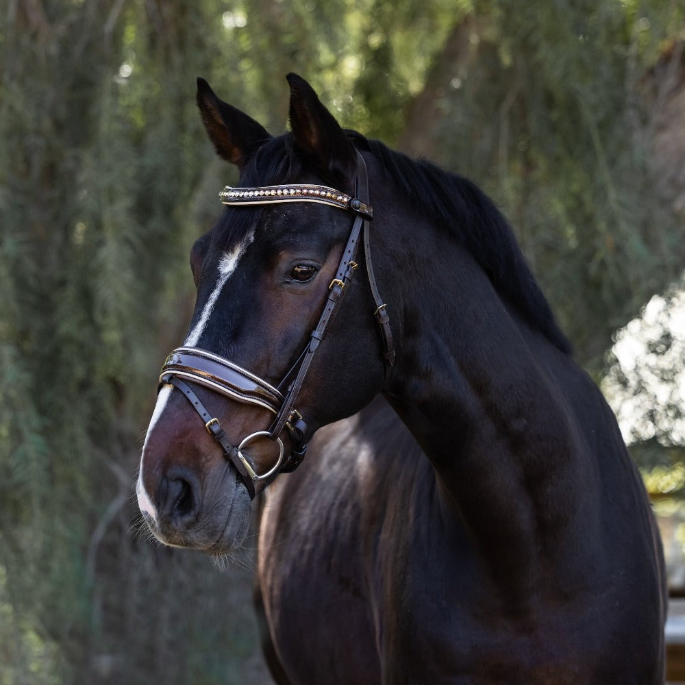 Halter Ego® The Catalonia Metallic Bronze Leather Snaffle Bridle with Removable Flash